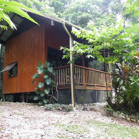 Epiphyte B & B Cow Bay Esterno foto