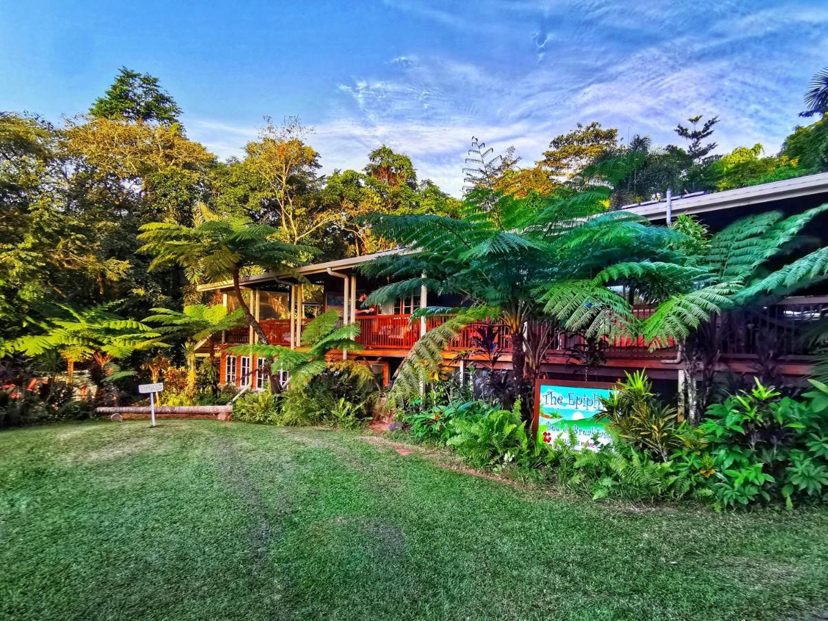 Epiphyte B & B Cow Bay Esterno foto