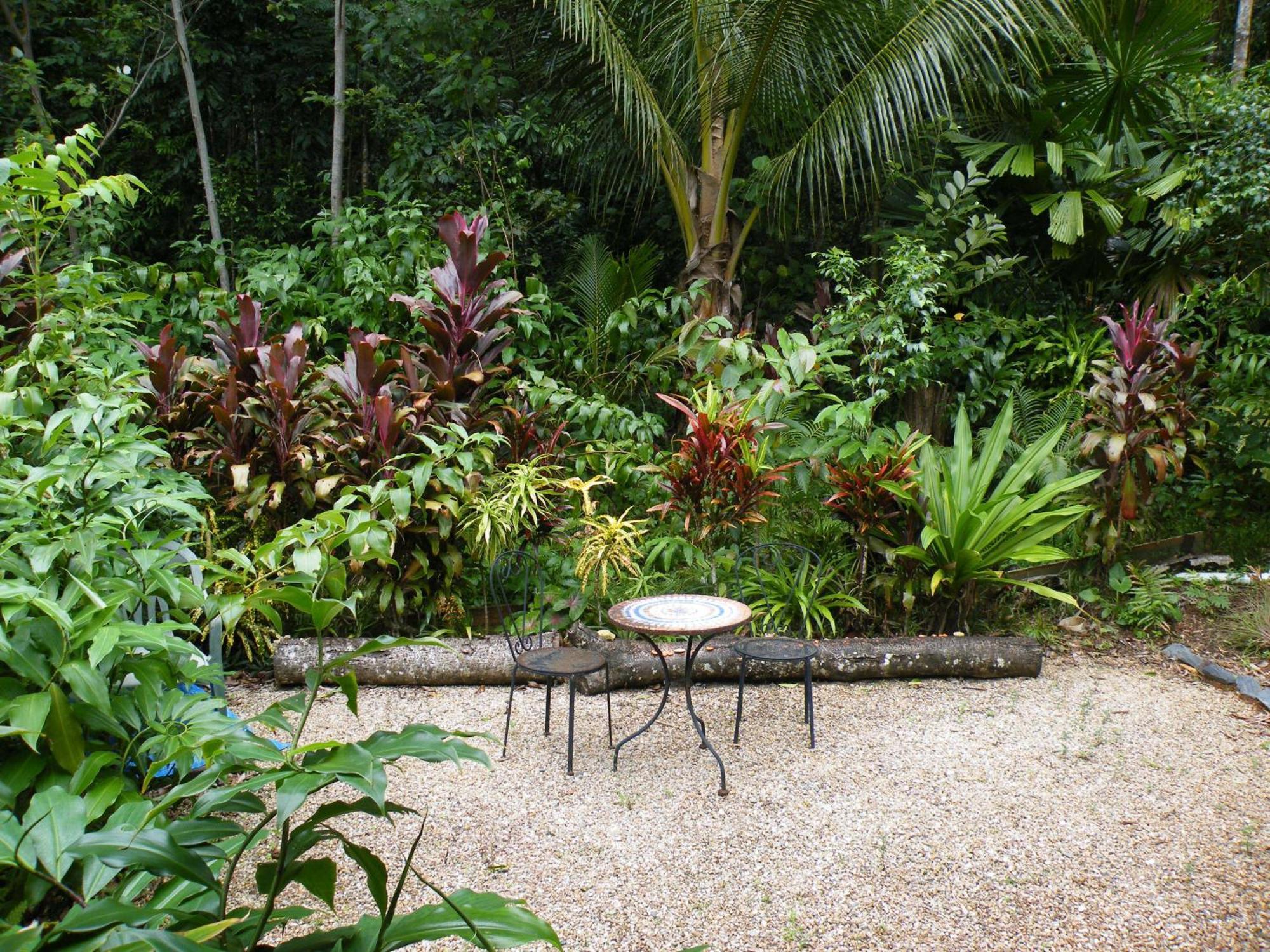 Epiphyte B & B Cow Bay Esterno foto