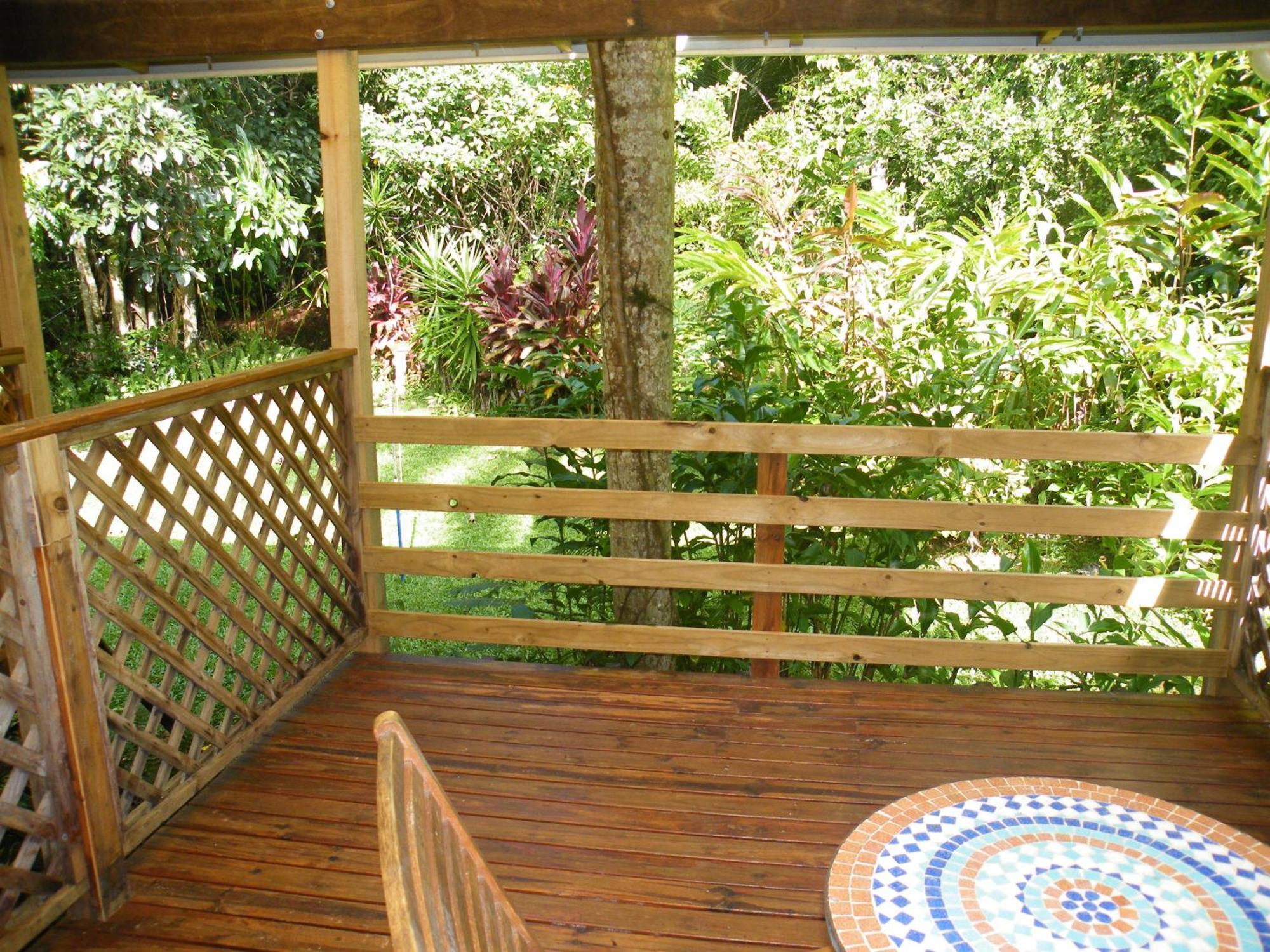 Epiphyte B & B Cow Bay Camera foto