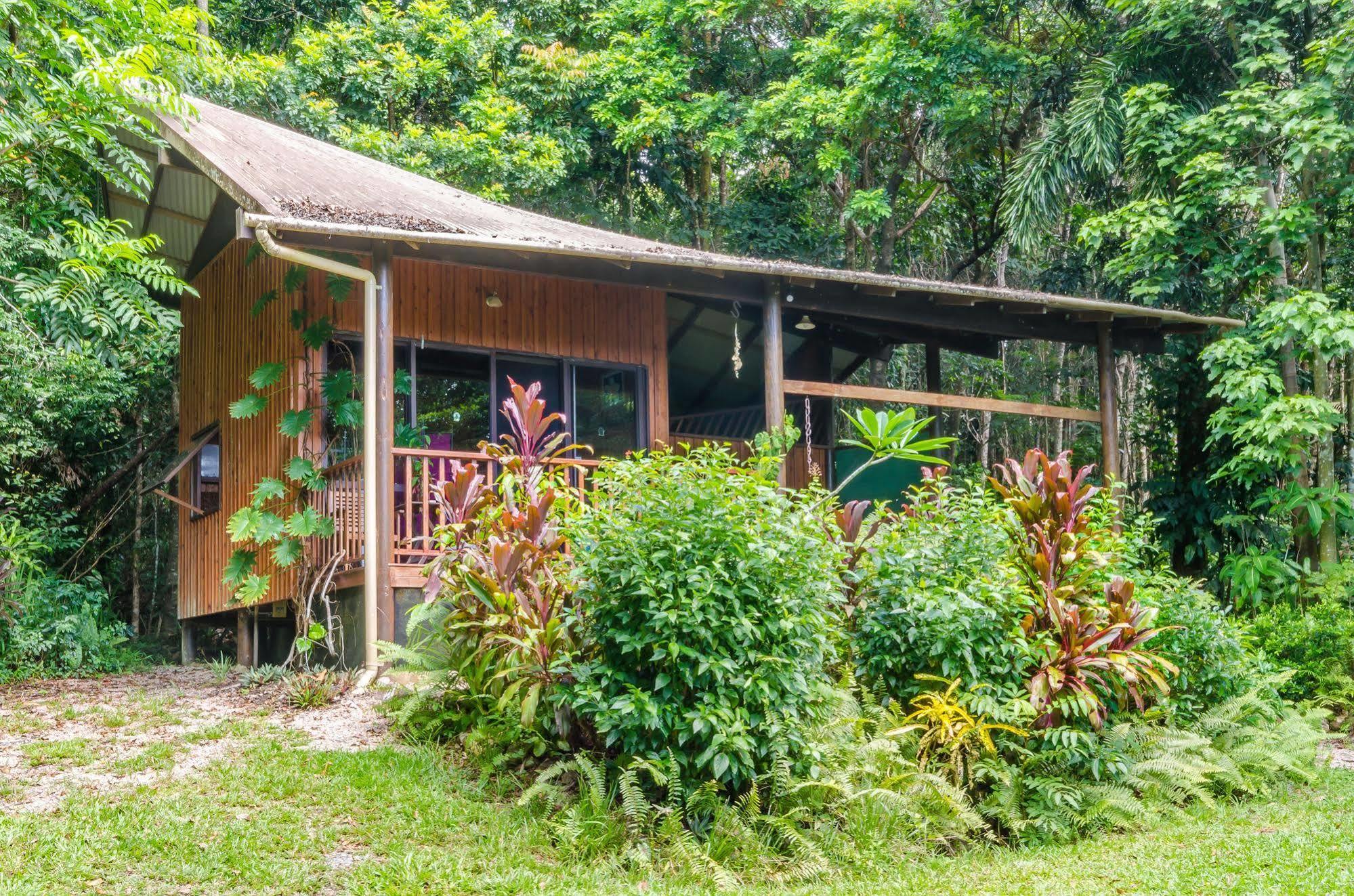 Epiphyte B & B Cow Bay Esterno foto