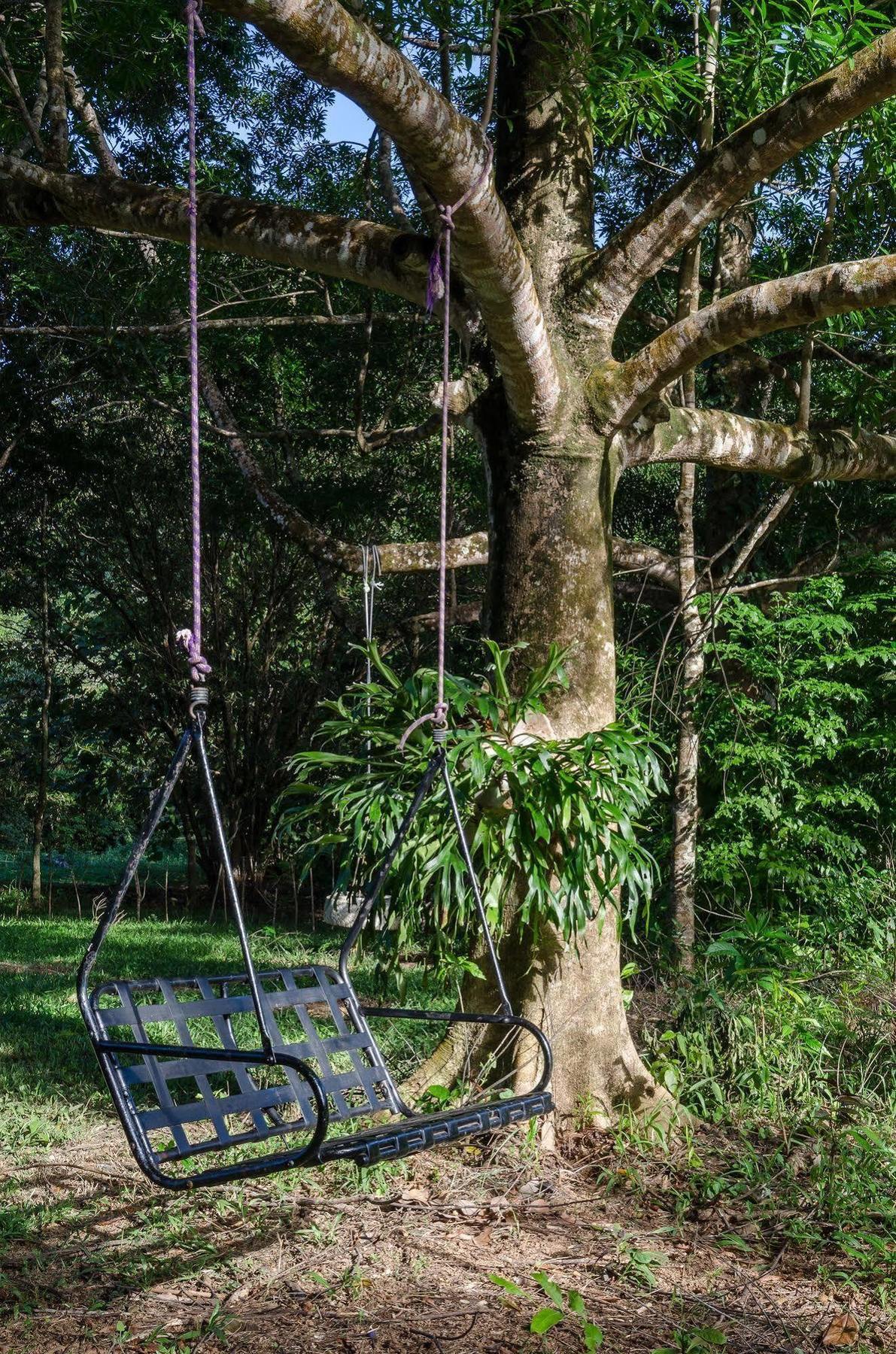 Epiphyte B & B Cow Bay Esterno foto